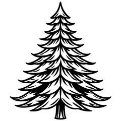 Fir Tree icon vector
