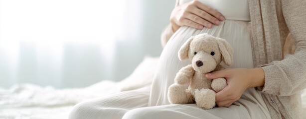 The Expectant Mother Holding a Plush Toy on Her Baby Bump