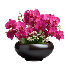 Naklejka premium Pink orchids in pot arrangement on transparent background
