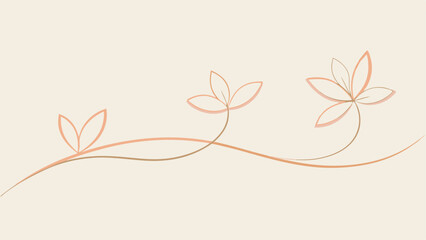 Minimalist floral line art with delicate flowers and transparent design elements