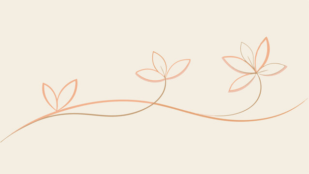Minimalist floral line art with delicate flowers and transparent design elements