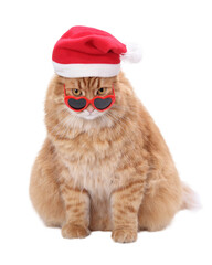Isolated ginger cat with Santa hat and heart-shaped sunglasses on transparent background (PNG)....