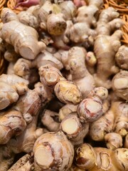 fresh ginger roots close up