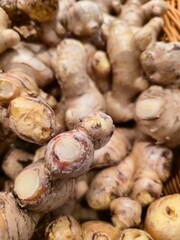 fresh ginger roots in market
