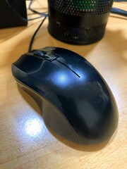 computer mouse