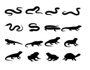 Reptiles and amphibians silhouettes collection vector illustration snakes lizards frogs turtle set