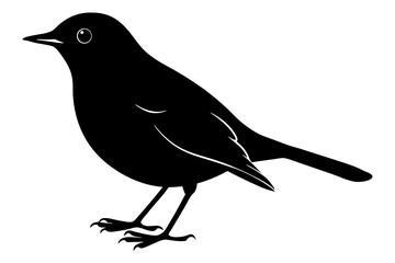 crow on a white background