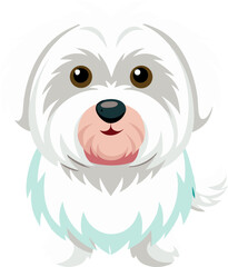 Maltese dog vector 