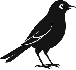 Mockingbird  black silhouette vector icon