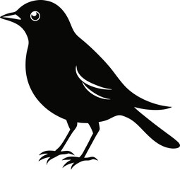 Mockingbird  black silhouette vector icon