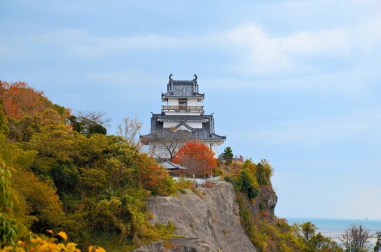 杵築城 天守閣と守江湾