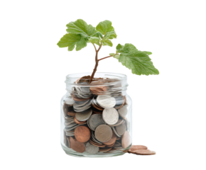 Sprout of Potential Coins in a Jar Nurturing New Growth Savings Concept on transparent background