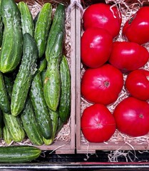 cucumbers and tomatoes
