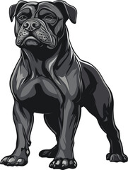 staffordshire bull terrier puppy