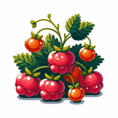 A stylized illustration of red and orange raspberries with green leaves on a white background