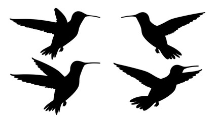 humming bird silhouette vector illustration on tranparent background