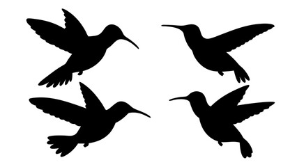 humming bird silhouette vector illustration on tranparent background