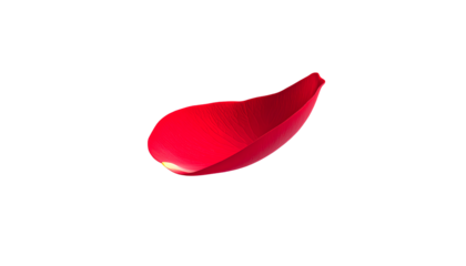  1 Red Rose Petal Floating on Transparent Background PNG