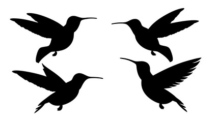 humming bird silhouette vector illustration on tranparent background