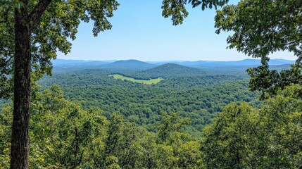 Fototapeta premium Breathtaking Scenic View of Rolling Hills and Lush Green Forest from a High Lookout Point on a Bright Sunny Day in the Wilderness