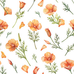 Botanical Pattern with Orange California Poppies on White