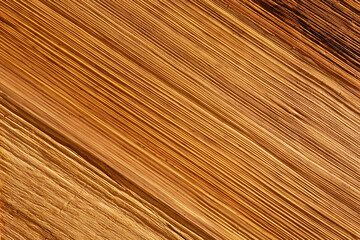 Diagonal lines texture of old rustic wood