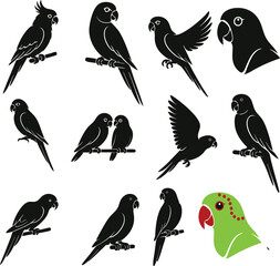  Parrot Vector Illustration – Exotic Bird, Tropical Wildlife Design

