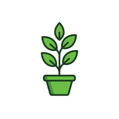 green plant in a pot