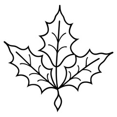 Holly Leaves line art vector