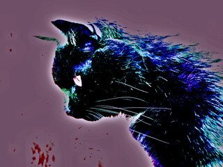 Portrait an Eerie Cat