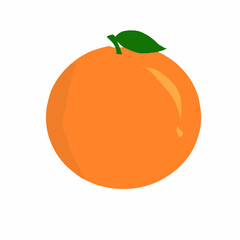 orange fruit vector illustration