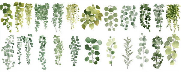 Collection of assorted eucalyptus and trailing greenery leaves arranged on a white background