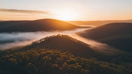 Serene Dawn Over Misty Mountains with Lush Greenery in a Breathtaking Landscape Captured at Sunrise, Evoking Calmness and Natural Beauty