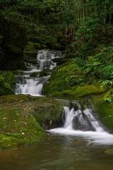Fototapeta premium 段階を踏む鹿児島の玉繁寺の滝。段階を穏やかに踏むのは珍しく感じました。