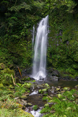 いいサイズかんで豪快な鹿児島にある滝之下大滝公園