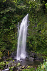 いいサイズかんで豪快な鹿児島にある滝之下大滝公園