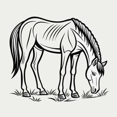 zebra vector illustration