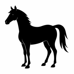 horse vector illustration