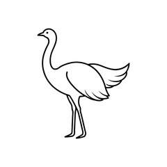 ostrich line art