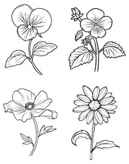 Blackandwhite line art of four different flowers on a plain background