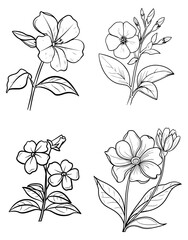 Botanical line art depicts four floral sprigs delicate petals and detailed leaves in monochrome