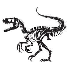 Artful fossil rendering – Velociraptor skeleton silhouette and detailed Velociraptor skeleton vector – dinosaur skeleton silhouette


