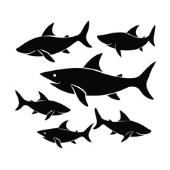vector illustration of a school  shark