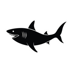 vector illustration of a shark