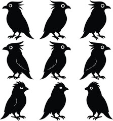 Fototapeta premium Black Bird Silhouettes: Vector Illustration of Crested Birds, Graphic Design Element