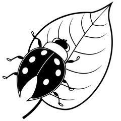 vector illustration of a ladybug