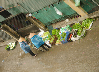 Vegetable stall on a street in Hanoi. Vietnam.