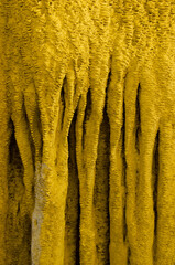 Stalactites in Trung Trang Cave. Cat Ba National Park. Cat Ba Island. Vietnam.