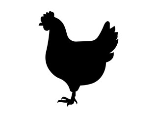 Black silhouette of a chicken standing on grass simple elegant hen icon vector illustration for farm and agriculture projects.Chicken Icon Flat Graphic Design.
