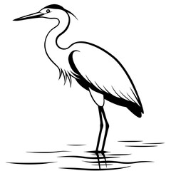 Obraz premium heron of the sky